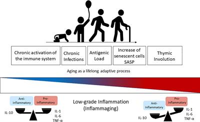 Inflammaging in Endemic Areas for Infectious Diseases